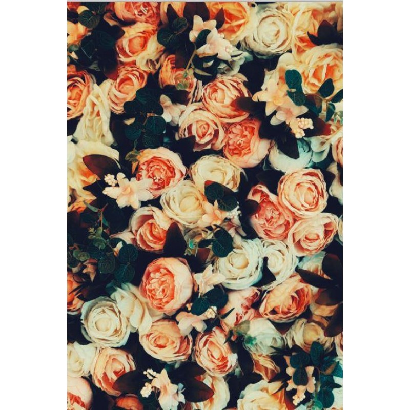 Vintage Roses by Did...