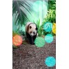 Panda Orb by Irina Irina