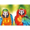 EXCLUSIVE Elvira Clement - Two of a Kind Parrots