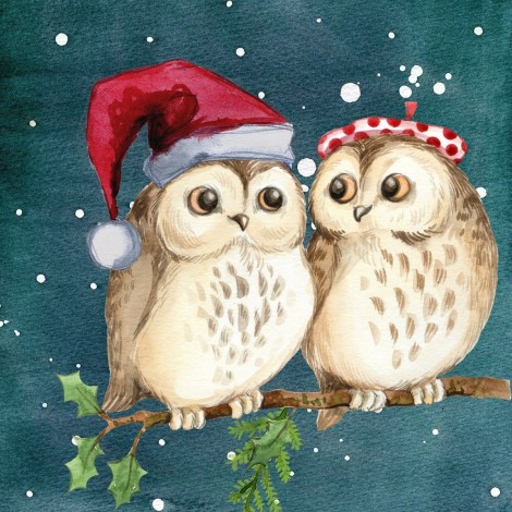 Christmas Owls Diamond Painting Kit
