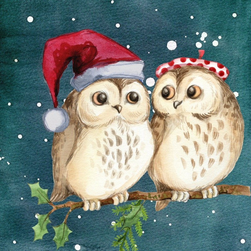 Christmas Owls Diamo...