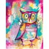 Willowing Arts Owl Wisdom Diamond Painting Kit