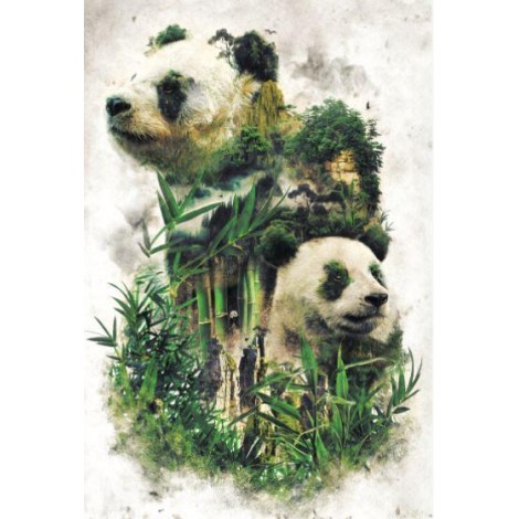 EXCLUSIVE BARRETT BIGGERS Pandas