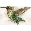 EXCLUSIVE BARRETT BIGGERS Hummingbird