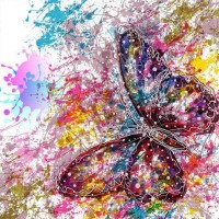Butterfly Paint Splat Dia...